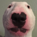 imnotnikos's Avatar'
