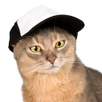lewon60hz's Avatar'