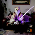 matrixdemon5463's Avatar'
