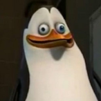 NDooDemMakwa's Avatar'