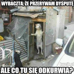 Skurwident's Avatar'