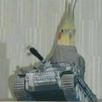 VolkzeNN's Avatar'