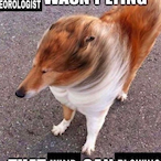 Awesomemii's Avatar'