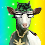 Hi_Im_Dudeboy's Avatar'