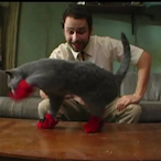 Mittons_'s Avatar'
