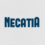 NecatiAA's Avatar'