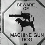 DressingBroom67's Avatar'