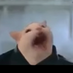 smilelyface101's Avatar'