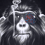 S2N_MostlyHuman's Avatar'
