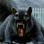 Squirel.404's Avatar'