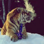 Juwpman's Avatar'