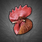 SuckusMyCoccus's Avatar'