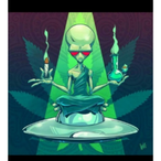 Nico_Rs2k's Avatar'