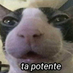 stiell01's Avatar'