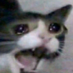 SadBoye's Avatar'