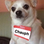 CricketNut's Avatar'
