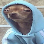 Dog.._..Lite's Avatar'