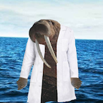 DrWalrus23's Avatar'