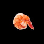 Vestigic_Shrimp's Avatar'