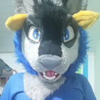 AdheresWolf's Avatar'