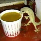 Suicidal_iPhone's Avatar'