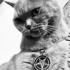 oneandonlygut's Avatar'