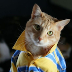 emiliocatz's Avatar'
