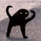 Wesf199's Avatar'