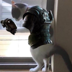 FBI-OPEN-UP_'s Avatar'