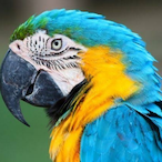 Smg12swings's Avatar'