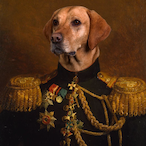 reformedJDAWG's Avatar'