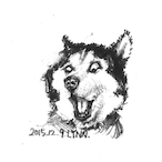 Roya1Husky's Avatar'