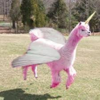 FloatingAlpaca's Avatar'