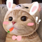 Linlinlittle's Avatar'