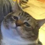 CourageX's Avatar'