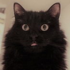 Dabberzs's Avatar'