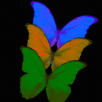 TitaniumSheep12's Avatar'