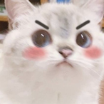 w ccarti's Avatar'