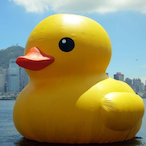 warducko's Avatar'