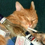 chenyo0811's Avatar'