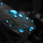 megalo.-.'s Avatar'