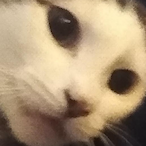 sargentkiller01's Avatar'