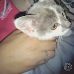 lNaahz-'s Avatar'