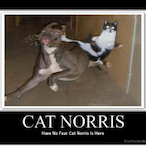 DigitalSpectre's Avatar