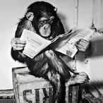 Xandrite111's Avatar