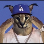 Nibblerzoid's Avatar'
