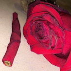 Ub1d0nTcAr3's Avatar'