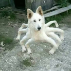 BiliousTub2's Avatar'