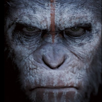 AnGenuineApe's Avatar'