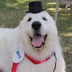 Spikeyyyyyyy's Avatar'